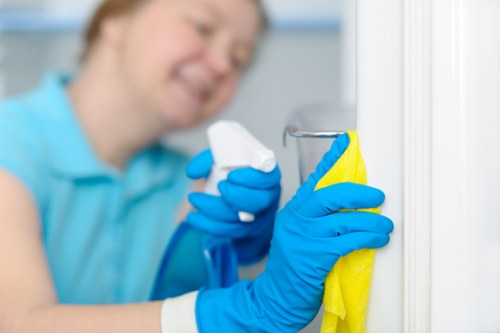 Deep cleaning support for a Lambeth property