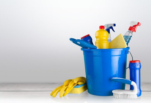 Reliable cleaner working in a Lambeth apartment