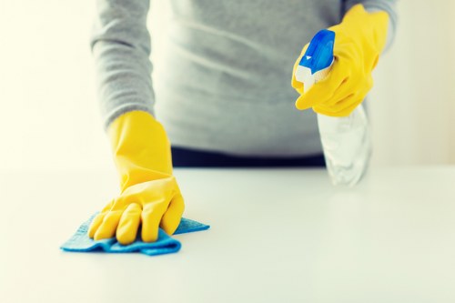 Local oven cleaner removing grease and burnt-on residue
