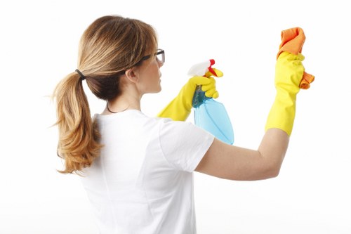 Kitchen and bathroom regular cleaning in a local Lambeth home